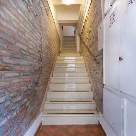 Mayr White * Ferrara